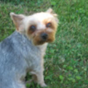 Meet your Posher, Sara